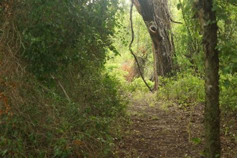 Best Views Trails In Fort Richardson State Park And Historic Site