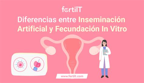 Diferencias entre inseminación artificial y fecundación in vitro