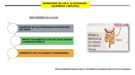 FARMACOLOGIA DE HIPOGLUCEMIANTES ORALES Pptx