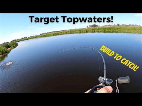 The Perfect Topwater Rod Build To Catch MHX NMB 843 YouTube