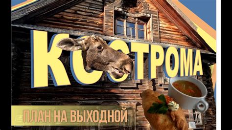 Кострома. План на выходной. Лосиная ферма и этнографический музей ...