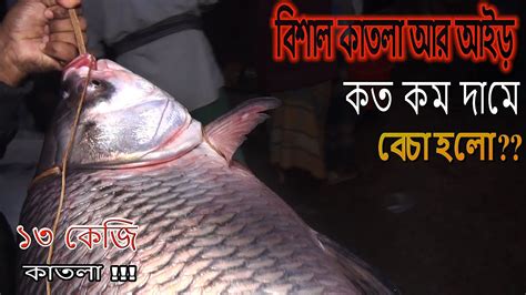 বিশাল কাতলা মাছ দেখুন কত কম দামে বেচা হলো Biggest River Fish Market