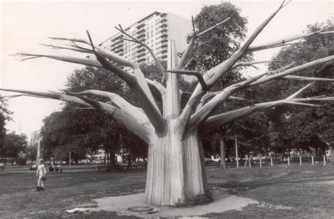 What Happened To The Liberty Tree At The Liberty Tree Mall? | Danvers, MA Patch