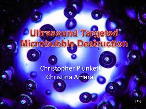 Ultrasound Targeted Microbubble Destruction Research Project PPT