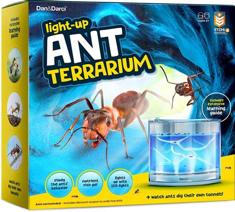 Dan&Darci Light-up Ant Farm Terrarium Kit for Kids – LED Ant Habitat ...