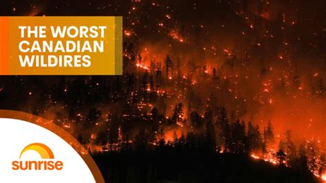 Canada suffering through their worst fire season in history | 7NEWS