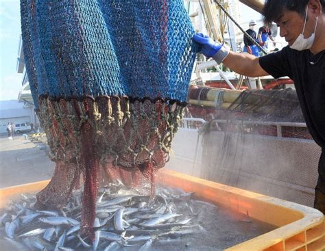 魚群見つからず岩手・大船渡のサンマ初水揚げ、過去最低の4トン 昨年の2割以下 毎日新聞