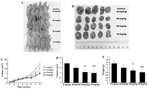 Tanshinone IIA Inhibits The Growth Attenuates The Stemness And Induces