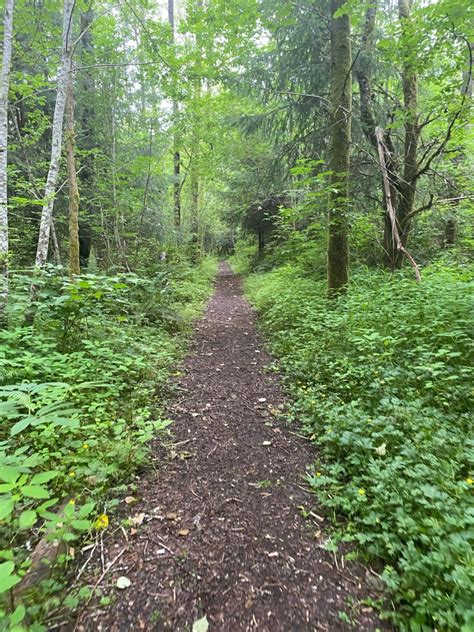 Hiking the Pacific Northwest & Beyond – wild women walking