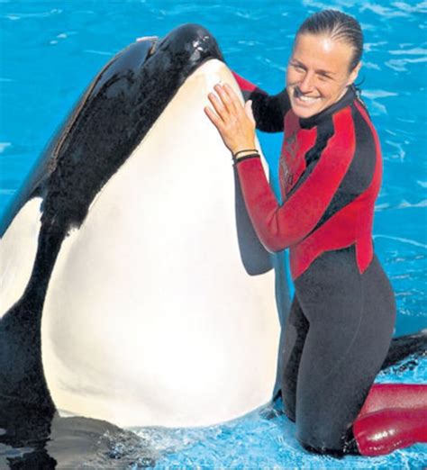 Horror En Seaworld Una Orca Mat A Su Entrenadora La Nacion