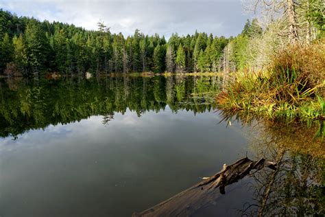 Victoria Daily Photo Killarney Lake