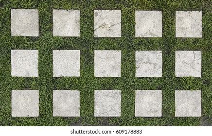 Flat Lay Shot Tile Pavement Closeup Stock Photo Shutterstock