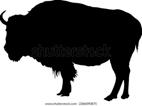 Bison Silhouette Background Black Vector Illustration Stock Vector ...