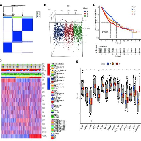 Identification Of Three Cuproptosis Related Genetic Subtypes A The