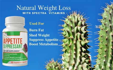 Amazon.com: Appetite Suppressant 30 Capsules - S. African Hoodia and ...