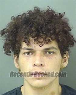 Recent Booking Mugshot For Dylan Mcdowell In Palm Beach County Florida