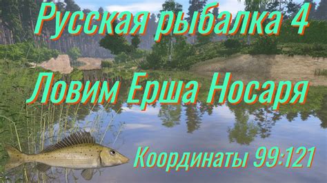 Русская рыбалка 4 • Вьюнок, трофейный Ёрш-Носарь • Фарм - YouTube