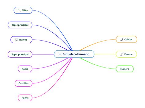 Esqueleto Humano Mind Map