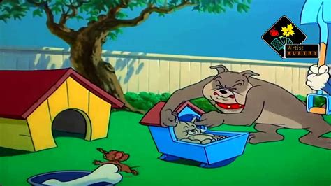 Tom And Jerry Episode 82 Hic Cup Pup Video Dailymotion