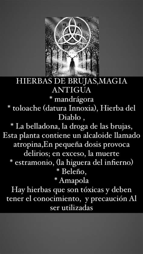 Hierbas De Bruja Magia Antigua Hechizos Reales Echizos Y Conjuros