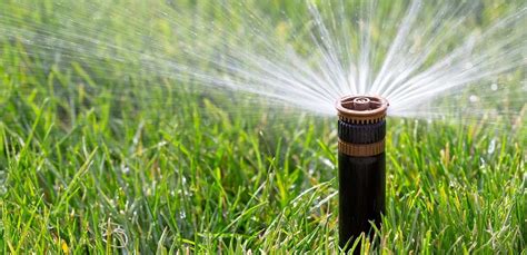 The 7 Best Sprinkler Pumps Reviews Buying Guide 2023