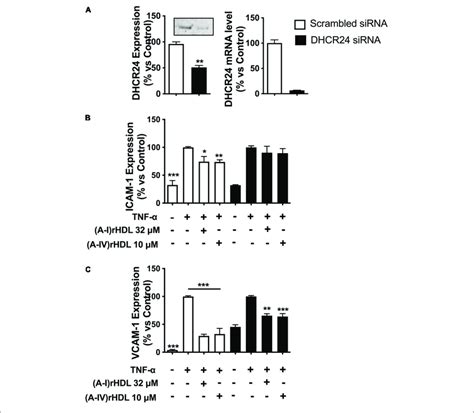 A Iv Rhdls Inhibit Tnf Induced Icam And Vcam Expression In