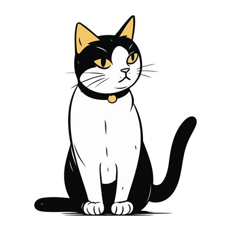 Gato Preto E Branco Sentado Em Um Fundo Branco Ilustra O Vetorial