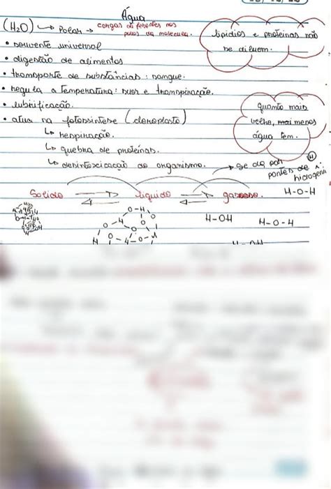 Solution Ciclo Biol Gico Da Gua Studypool