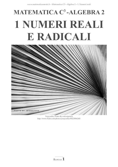 Pdf Matematica C Numeri Reali E Radicali Liceoischia Org