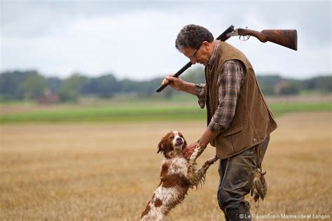 Lot Et Garonne Louverture De La Chasse Dimanche Jusquà 14h