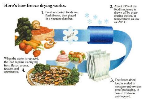 10 Methods Of Food Preservation With Example Food Microbiology