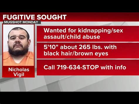 Sex Offender Hitlist Volume 167