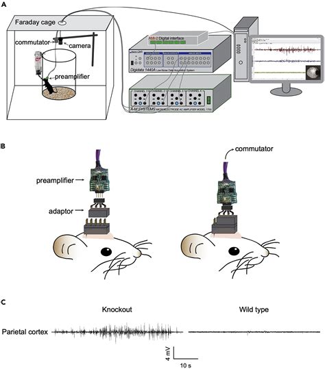 Cell Press Star Protocols