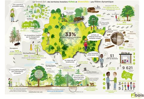 Fibois Grand Est Filière Forêt Bois du Grand Est en cartes et en