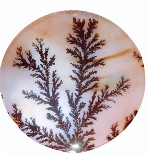 Parfect Shazar Stone at best price in New Delhi | ID: 2852164012662