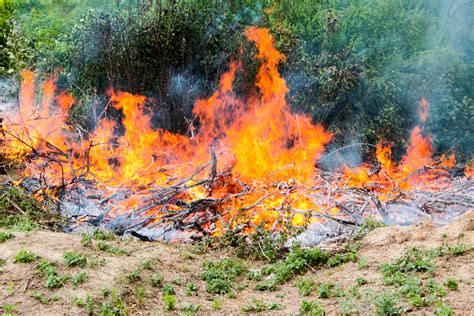 CAL FIRE Burn Permits Required Beginning May 1 San Lorenzo Valley Post