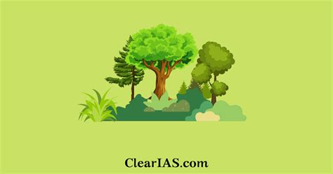 Natural Vegetation In India Clearias