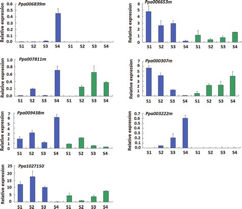 Qrt Pcr Validation Of Expression Profiles Of Seven Genes In The M Locus