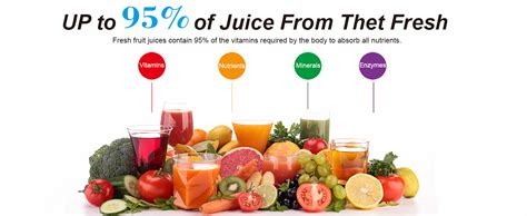 Healnitor Slow Masticating Juicer
