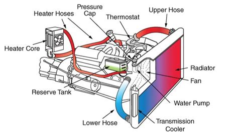 What Are The Radiator Cap Leaking Symptoms Motor Spider