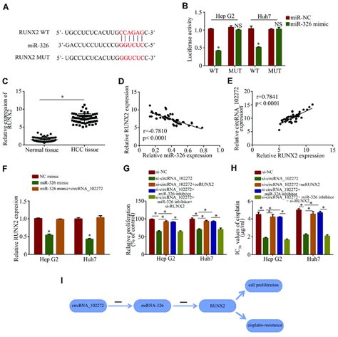 CircRNA 102272 Facilitates HCC Cisplatin Resistance By Regulating The