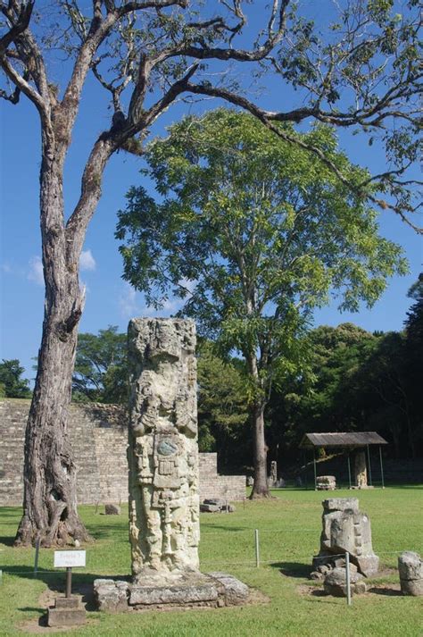 copan maya ruins stock photo image  culture history