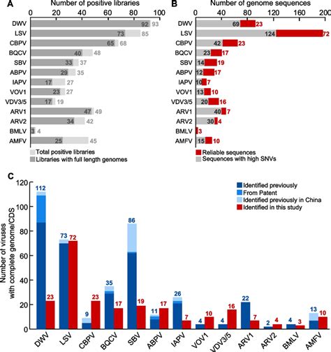 Of Libraries And Complete Genomes Of Known Honeybee And Mite Viruses