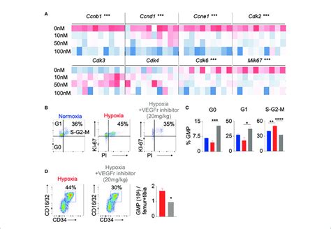 Vegfr Inhibition Decreased Hematopoietic Progenitor Proliferation In