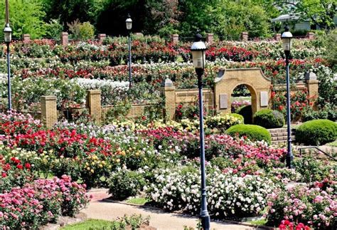 Largest Garden In Us As The Largest Rose Garden In The United States