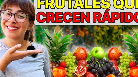 Frutas que engordan rápido mito o realidad Todo Engorda