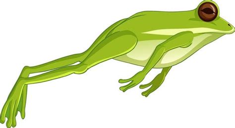 Jumping Frog Vector Art Icons And Graphics For Free Download