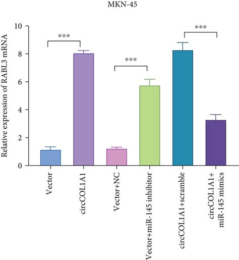 RABL3 Is The Target Of MiR 145 And Regulated By CircCOL1A1 A