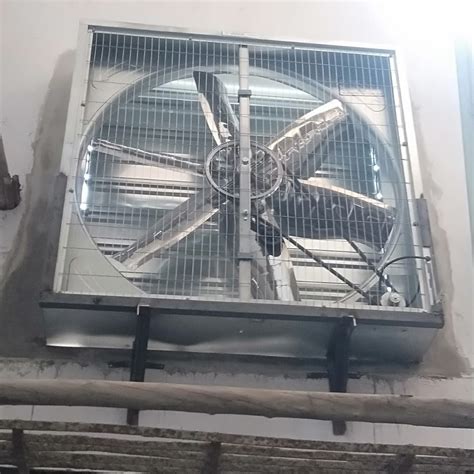 Variya Stainless Steel Industrial Belt Drive Exhaust Fans Wall Mounted 1phase And 3phase Rs