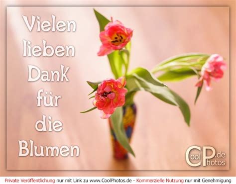 Coolphotos De Vielen Lieben Dank Für Die Blumen